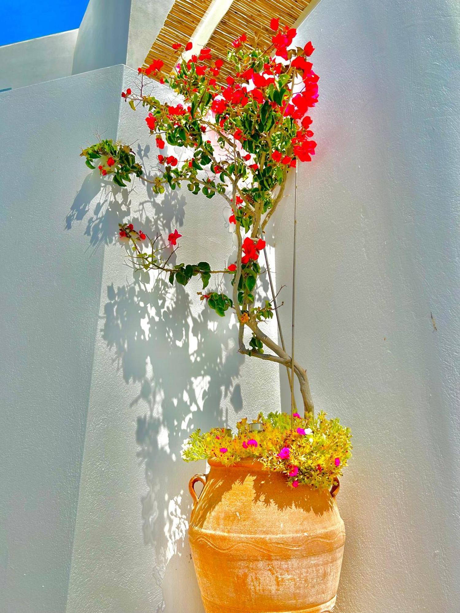 Anita Rooms & Suites Milos Adamantas  Exterior foto