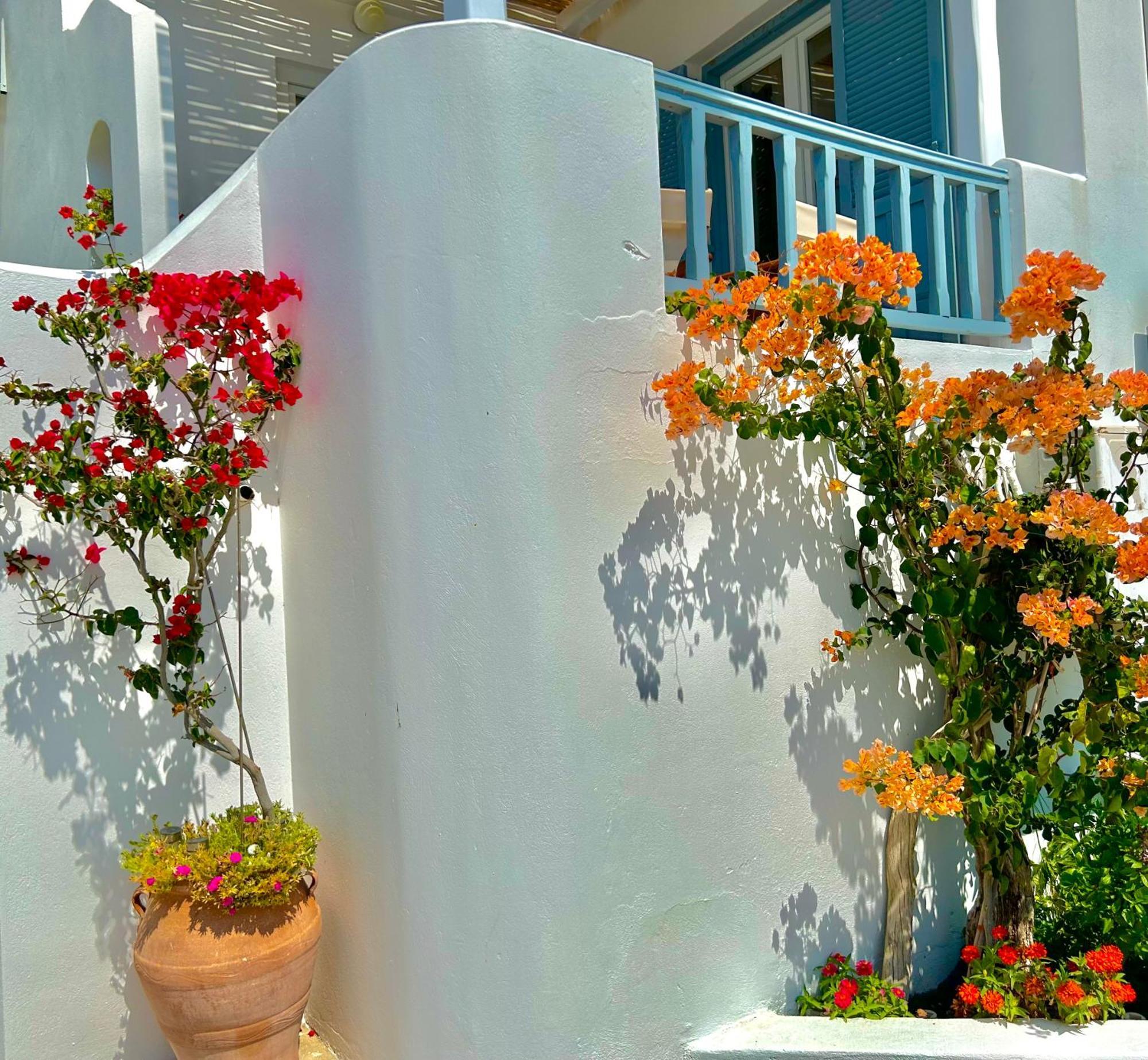 Anita Rooms & Suites Milos Adamantas  Exterior foto